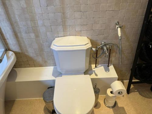 a bathroom with a white toilet in a room at Knightsbridge Emerald in London