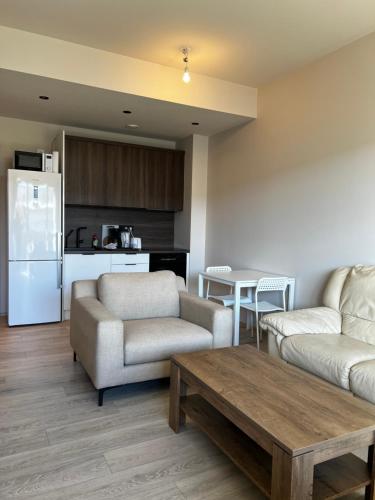 een woonkamer met een bank en een tafel bij Stay Iceland apartments - G 1 in Reykjavík