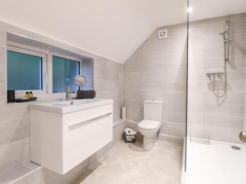 een badkamer met een toilet, een wastafel en een douche bij Farley Cottage II in Alton