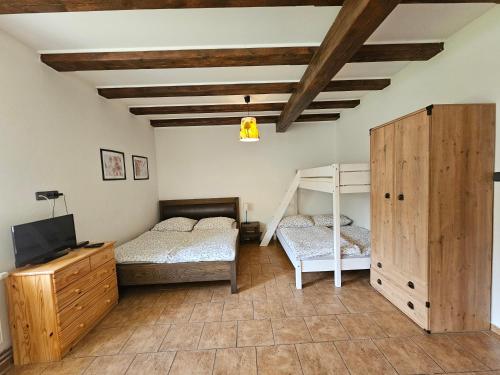 a bedroom with two bunk beds and a tv at Apartmánové ubytování v Koutech in Loučná nad Desnou