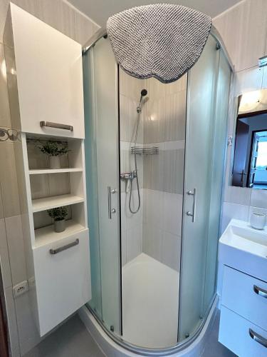a shower with a glass door in a bathroom at Apartmán Žižka in Frymburk