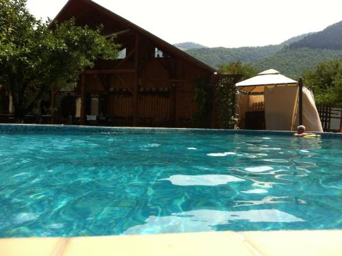 a person swimming in a large swimming pool at Pensiunea Sanziana in Gura Rîului