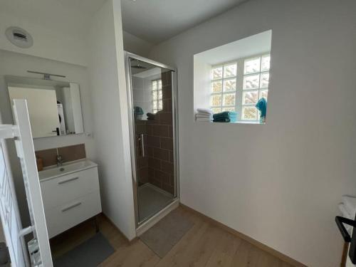 une salle de bain avec une douche, un lavabo et un miroir dans l'établissement Aux remparts de la vieille ville - 4p, Parking, à Boulogne-sur-Mer
