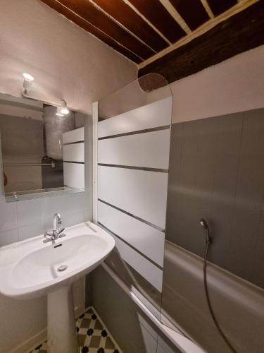 une salle de bain avec un lavabo et une douche dans l'établissement Studio, Aix centre historique, à Aix-en-Provence