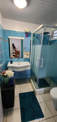 a blue bathroom with a sink and a shower at La PAPAYERAIE in Le Marin