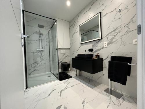 a bathroom with a glass shower and a sink at Residence phoenix AP2 in Mons