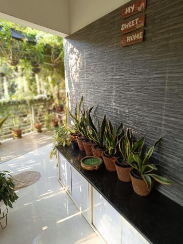 Ein Garten an der Unterkunft Chaithritha Ladies Homestay