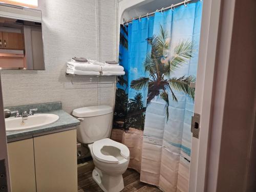 a bathroom with a toilet and a shower curtain at Parc Octopus in Desbiens