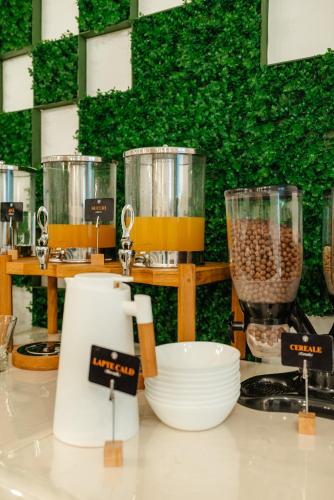 托普利察Terra Resort的厨房里有一张台面，上面放着碗和搅拌机。