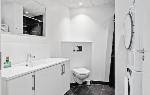 a white bathroom with a toilet and a sink at Amazing Apartment In Ringkbing With Wifi in Ringkøbing