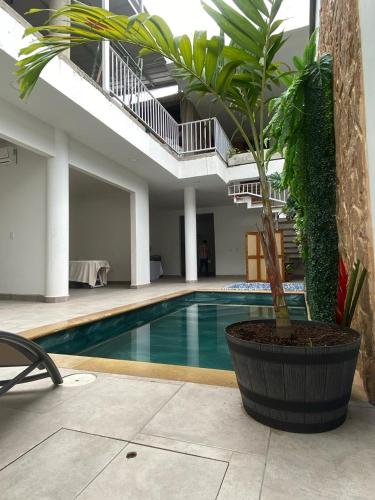 ein Pool mit Topfpflanze neben einem Gebäude in der Unterkunft Hotel Boutique Iyarí in Palmira
