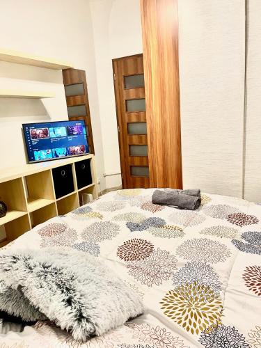 a bedroom with a bed with a comforter and a tv at Bratislava City Center in Nivy