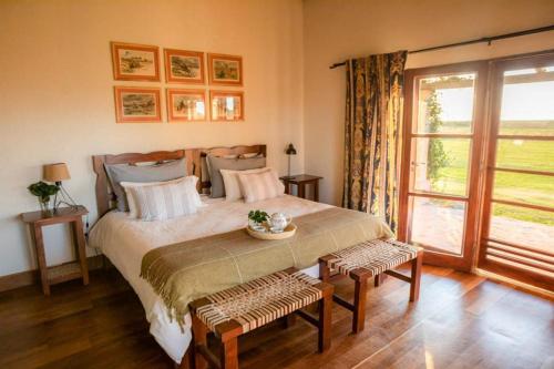克隆尼亞卡洛斯佩雷格里尼的住宿－Casa de Esteros，一间卧室设有一张大床和一个窗户。