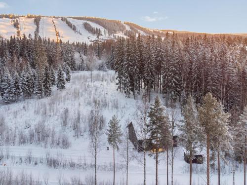 Příroda nedaleko prázdninového domu