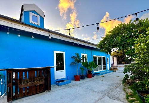 a blue house with plants in front of it at Weburi Accommodation in Oranjestad