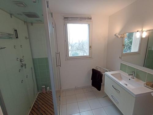 une salle de bain avec un lavabo, une douche et un miroir dans l'établissement Gite 12 à 14 personnes proche Albi, à Castelnau-de-Lévis