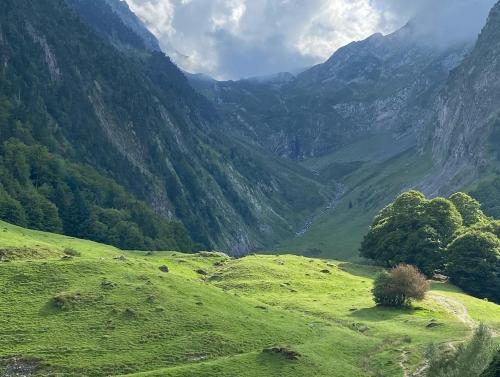 a green valley with mountains in the background at Newly Renovated Ground Floor Apartment close to Thermes in Luchon