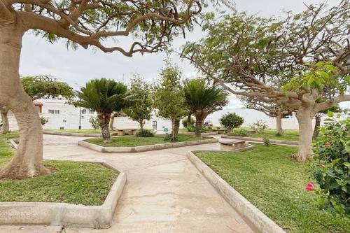 a park with trees and a walkway at Calma & Mar in Arona