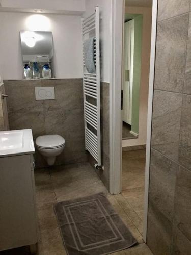 La salle de bains est pourvue de toilettes, d'un lavabo et d'une douche. dans l'établissement zentral und ruhig, à Hambourg