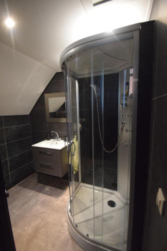 een badkamer met een douche en een wastafel bij Swalmerkwartier in Roermond