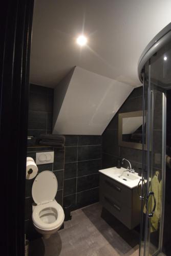 a bathroom with a toilet and a sink at Swalmerkwartier in Roermond