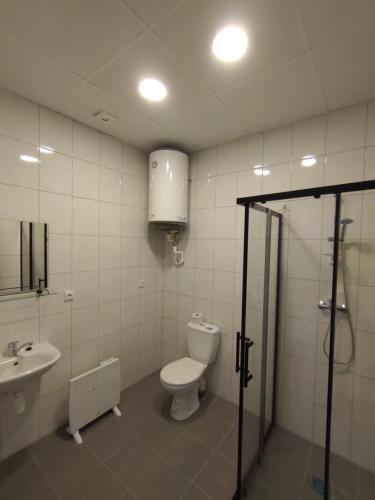 een badkamer met een toilet en een wastafel bij Hostel Trys Plunksnos in Marijampolė