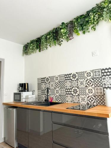 une cuisine avec un comptoir orné de plantes sur le mur dans l'établissement Ô Bien-Être, à Morlaix