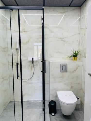 a bathroom with a toilet and a shower at BRIVIBAS RESIDENCE - WEST / EAST, free PRIVAT parking, free WIFI, self check-in in Rīga