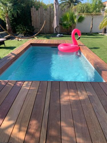 une piscine avec un cygne rose dans l'eau dans l'établissement Villa Mimaël, à Saint-Aygulf