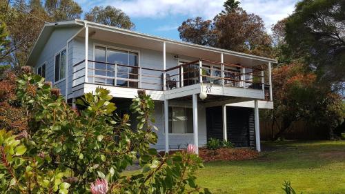 Κήπος έξω από το 75 Harris Road, T-tree House, Ventnor