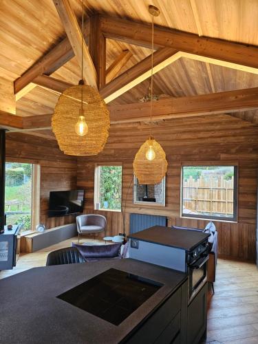 ein Wohnzimmer mit Holzwänden und Holzdecke in der Unterkunft Bois des Alpes in Annecy