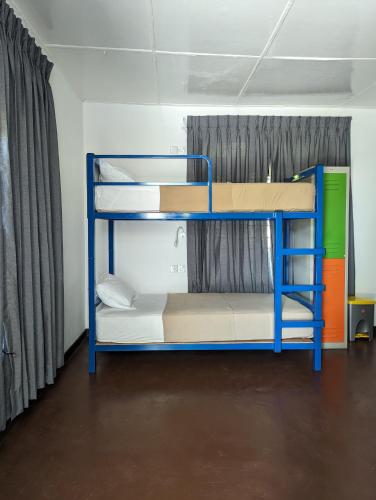 een stapelbed in een kamer met een blauwe ladder bij Hive Ella - Hostel in Ella