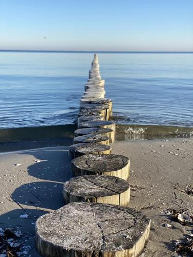 a group of stones on the beach near the water at Meer geht immer in Prerow