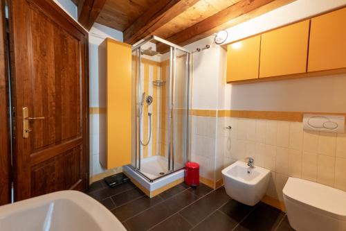 a bathroom with a shower and a sink and a toilet at Alpine Apartment in Aosta