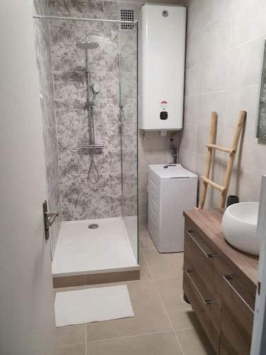 une salle de bain avec douche et lavabo dans l'établissement Raffinement proche Grenoble Centre, à Grenoble