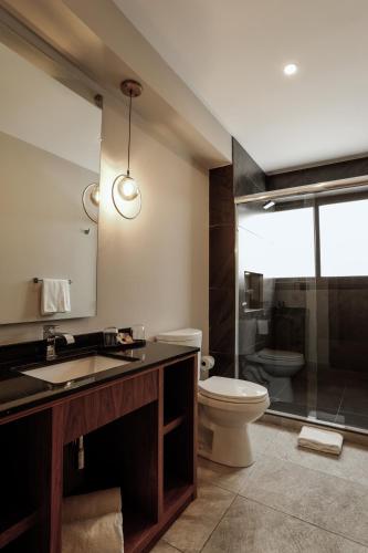 a bathroom with a toilet and a sink and a shower at Reforma Capital Inn in Mexico City
