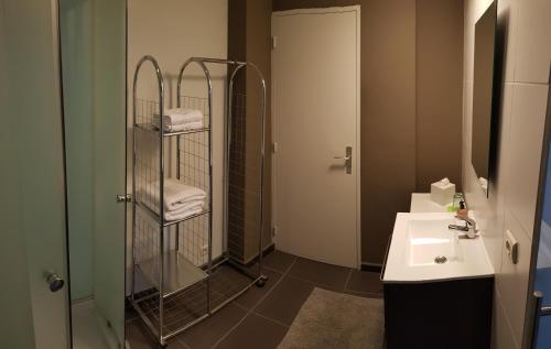 uma casa de banho com um lavatório e um chuveiro com um toalheiro. em Studio Astrid em Mechelen