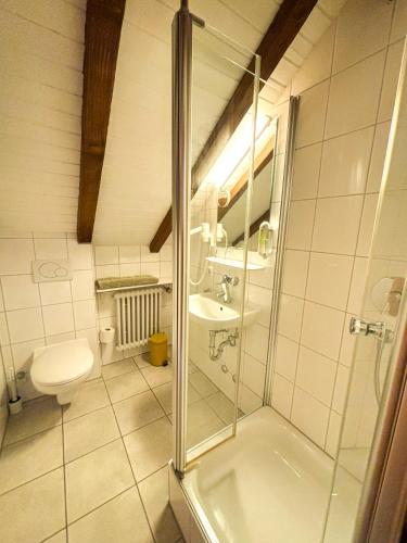 a bathroom with a shower and a toilet and a sink at Schwarzwald-Chalet Feldberg in Feldberg