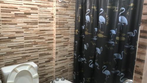 La salle de bains est pourvue de toilettes et d'un rideau de douche noir. dans l'établissement Zapala departamentos por día, à Zapala