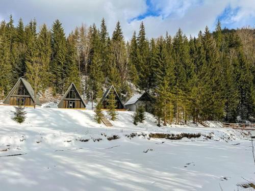Ultra house en invierno