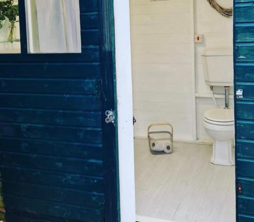 a bathroom with a toilet and a blue door at Peggy’s Hut in Astbury