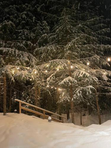 Ultra house en invierno