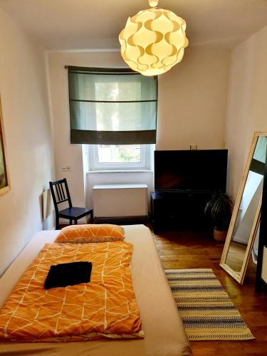 Zimmer in zentraler Lage / Room near downtown في فورتسبورغ: غرفة نوم بسرير ونافذة كبيرة