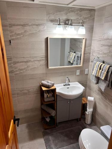 a bathroom with a sink and a mirror at Suite 3 Flèche du fjord vue Saguenay Mont Valin in Saint-Fulgence