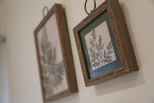 two framed pictures of plants on a wall at Yarm Luxury Apartments - Bank House - private gated carpark in Yarm