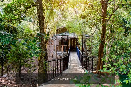 a gate in the middle of a jungle with trees at Wild River Side in Udawalawe
