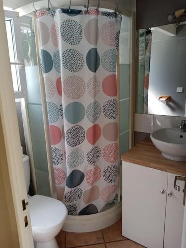 uma casa de banho com um WC e uma cortina de chuveiro em Petite maison avec jardin em La Rochelle