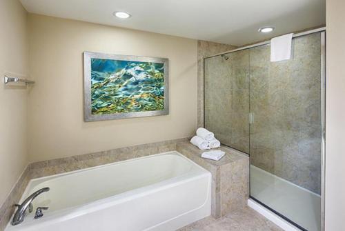 La salle de bains est pourvue d'une baignoire et d'une douche. dans l'établissement Be Our Guest, à Orlando