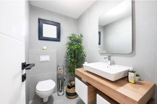 ein Badezimmer mit einem Waschbecken, einem WC und einem Spiegel in der Unterkunft Villa Azul in Šimanovci
