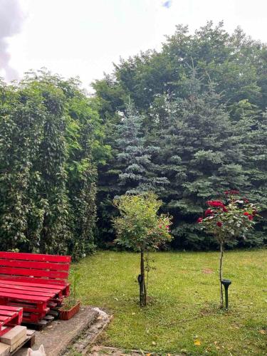 a red park bench in a field with a tree at Ljiljin raj in Bela Zemlja